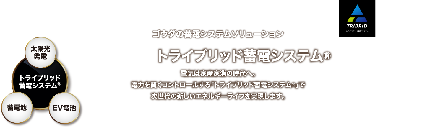 ゴウダの蓄電システムソリューション nichicon トライブリッド蓄電システム® 電気は家産家消の時代へ。 電力を賢くコントロールする「トライブリッド蓄電システム®」で次世代の新しいエネルギーライフを実現します。太陽光発電 蓄電池 EV電池 トライブリッド蓄電システム® TRIBRID